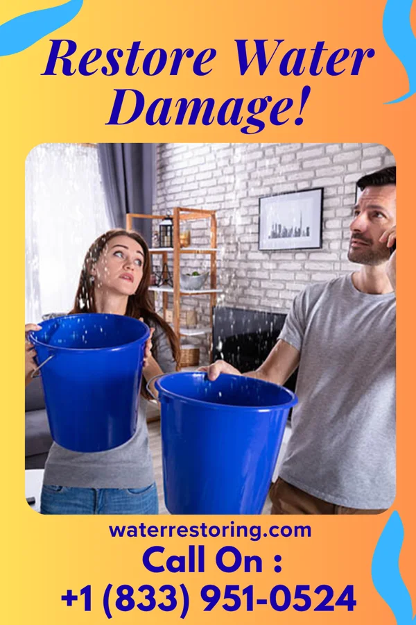 water restoration Local Flood Cleanup Company Jeffersonville