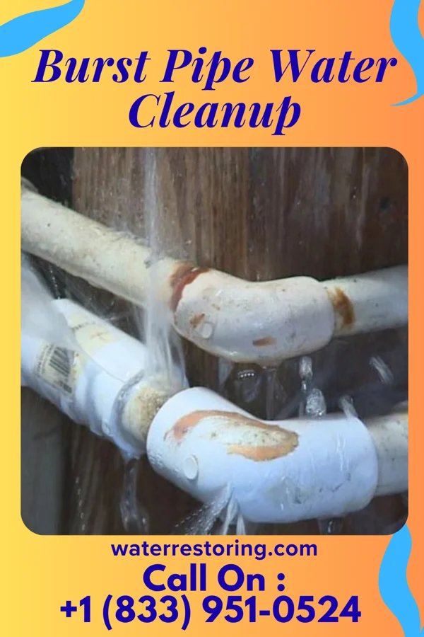 Burst Pipe Water Cleanup in Jeffersonville, IN