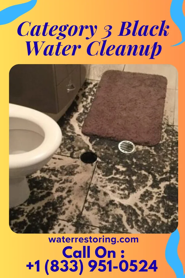 Category 3 Black Water Cleanup in Jeffersonville, IN