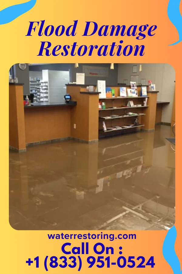 Flood Damage Restoration in Jeffersonville, IN