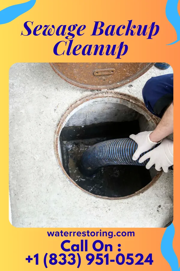Sewage Backup Cleanup in Jeffersonville, IN