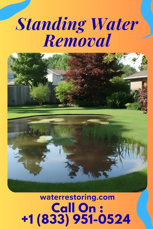 Standing Water Removal in Jeffersonville, IN